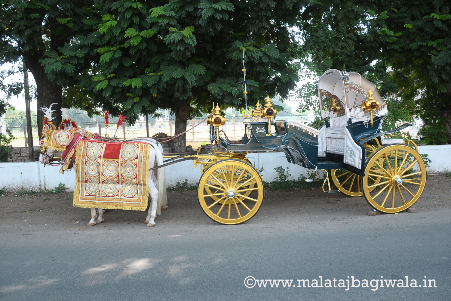 VINTAGE VICTORIA BAGI