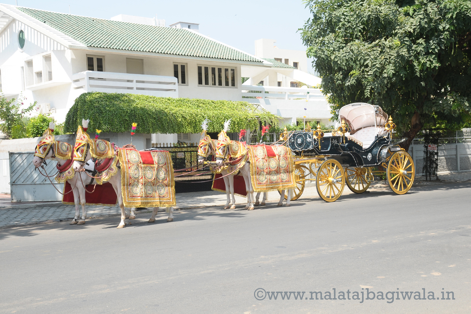 VINTAGE VICTORIA BAGI