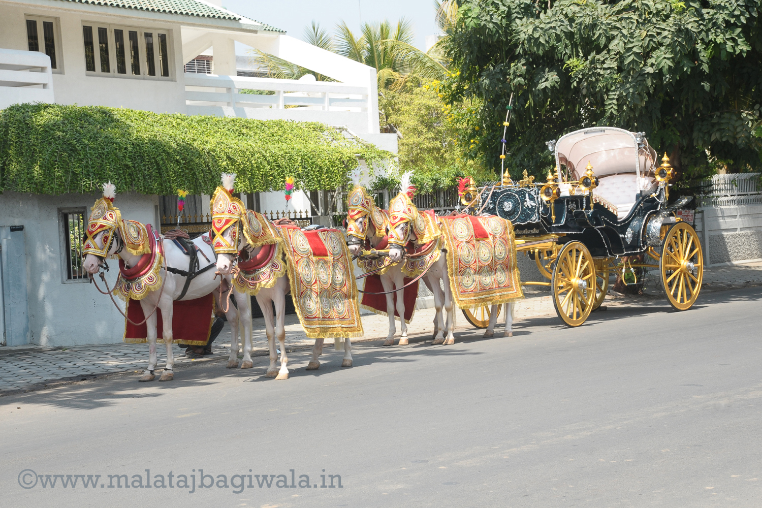 VINTAGE VICTORIA BAGI