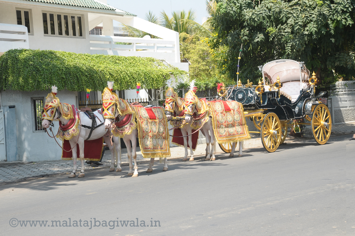 VINTAGE VICTORIA BAGI