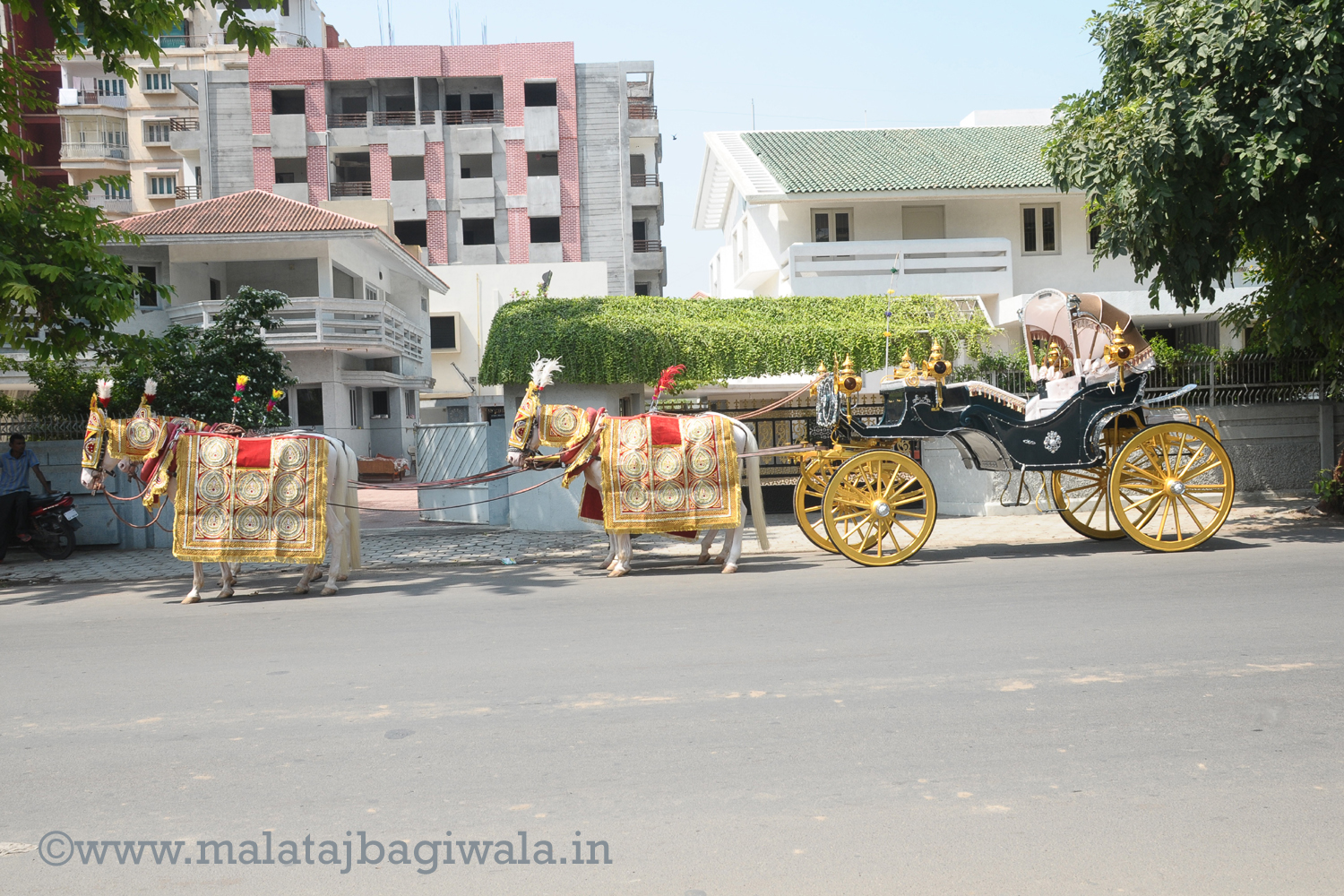 VINTAGE VICTORIA BAGI