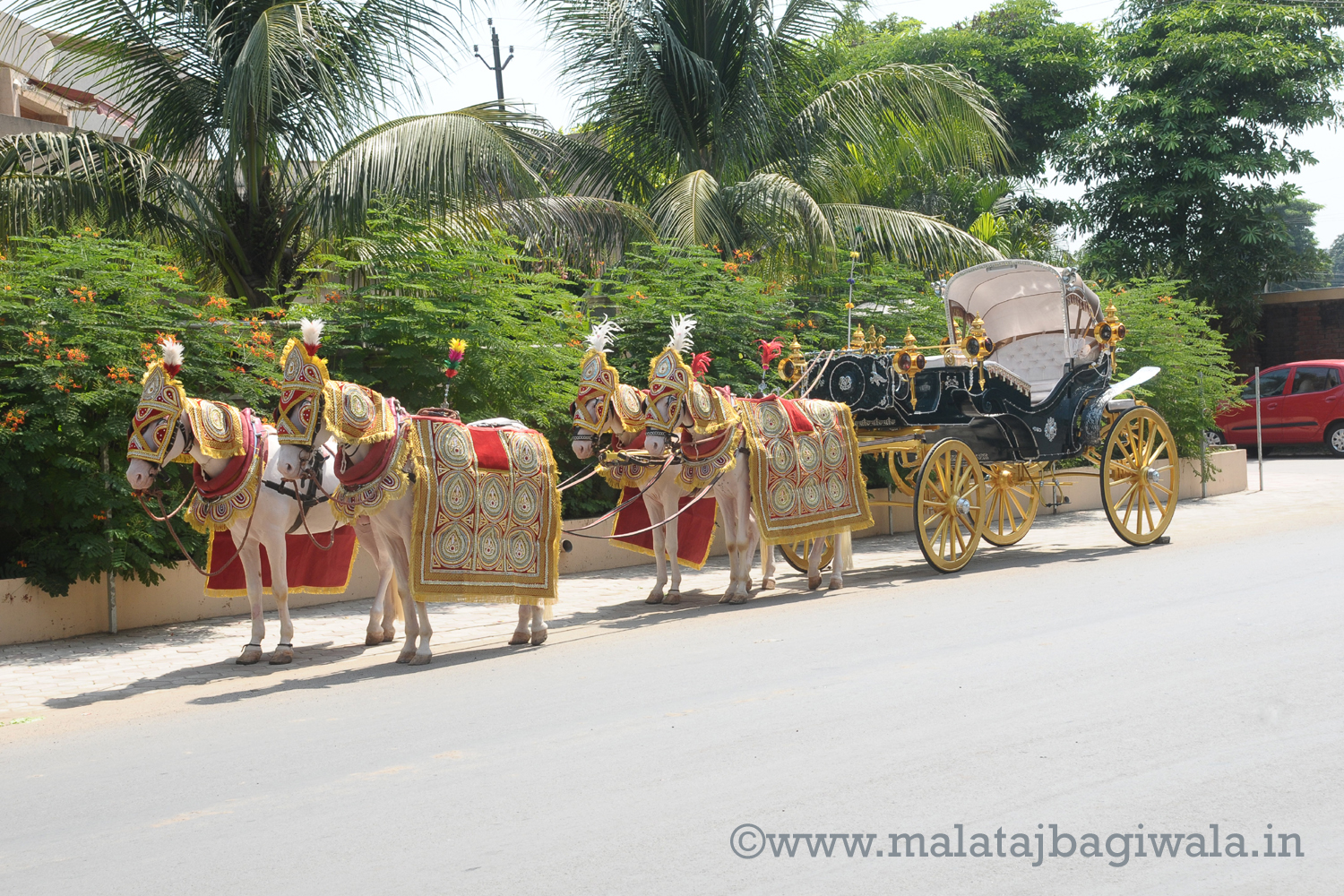 VINTAGE VICTORIA BAGI