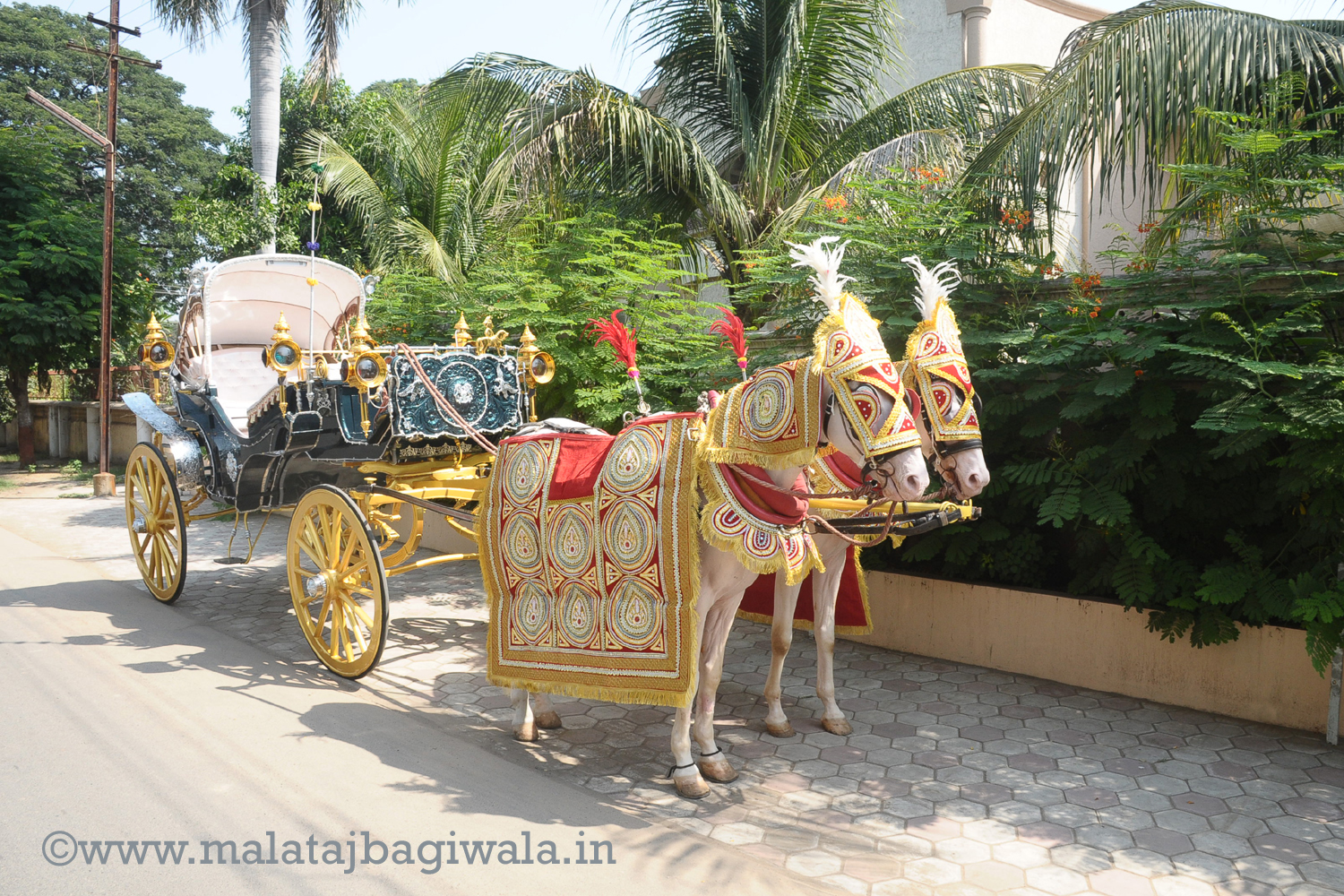 VINTAGE VICTORIA BAGI