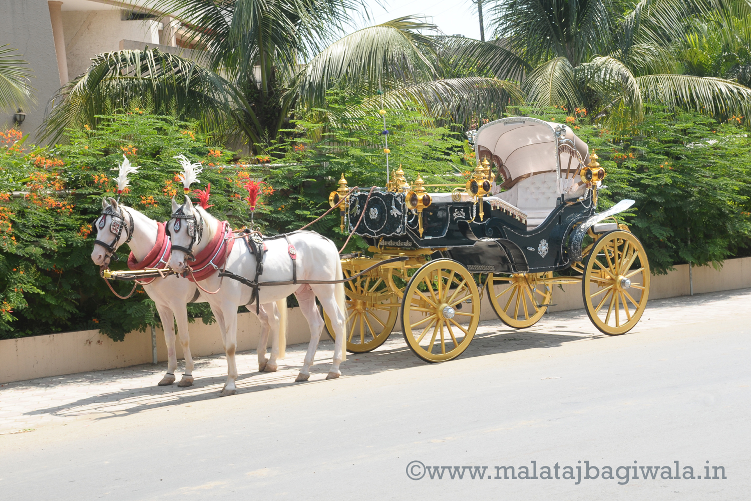 VINTAGE VICTORIA BAGI