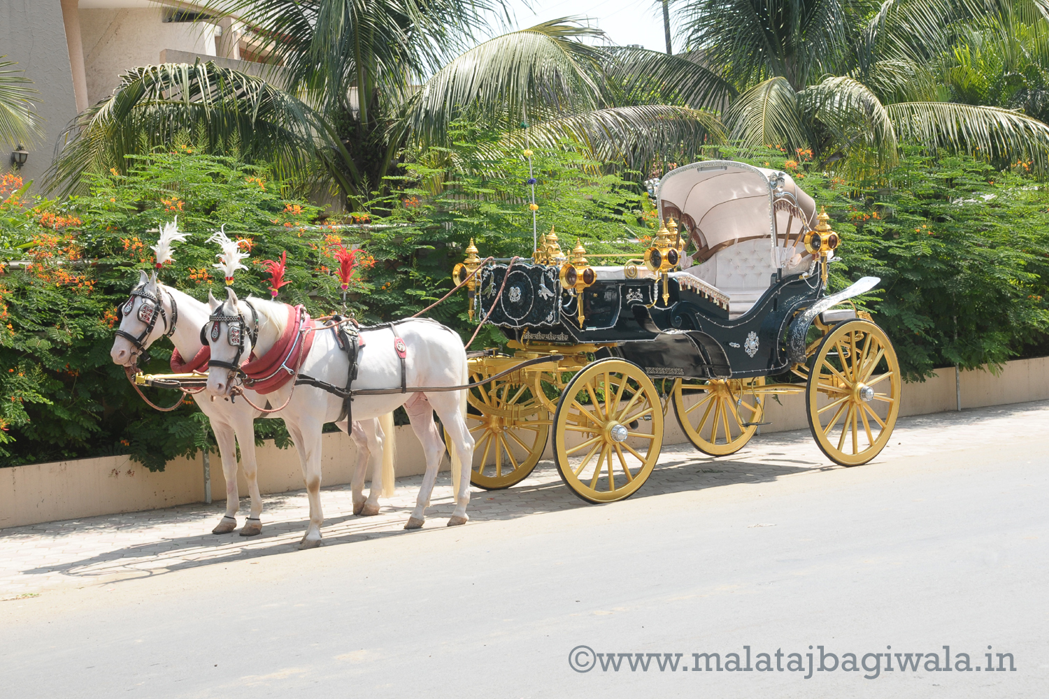 VINTAGE VICTORIA BAGI