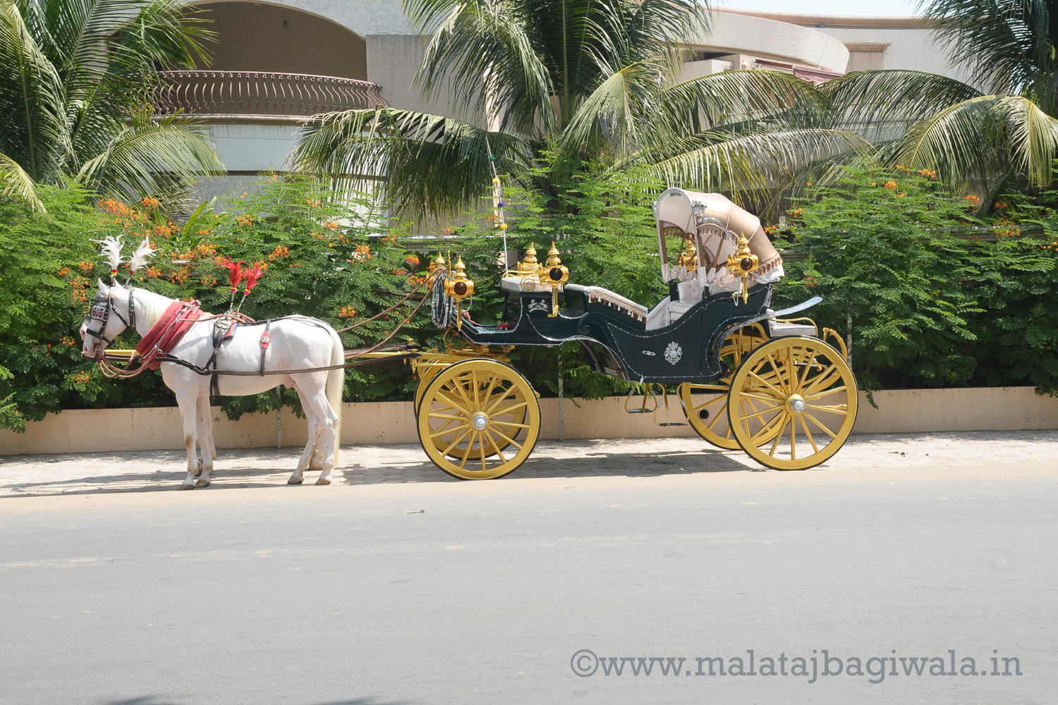 VINTAGE VICTORIA BAGI