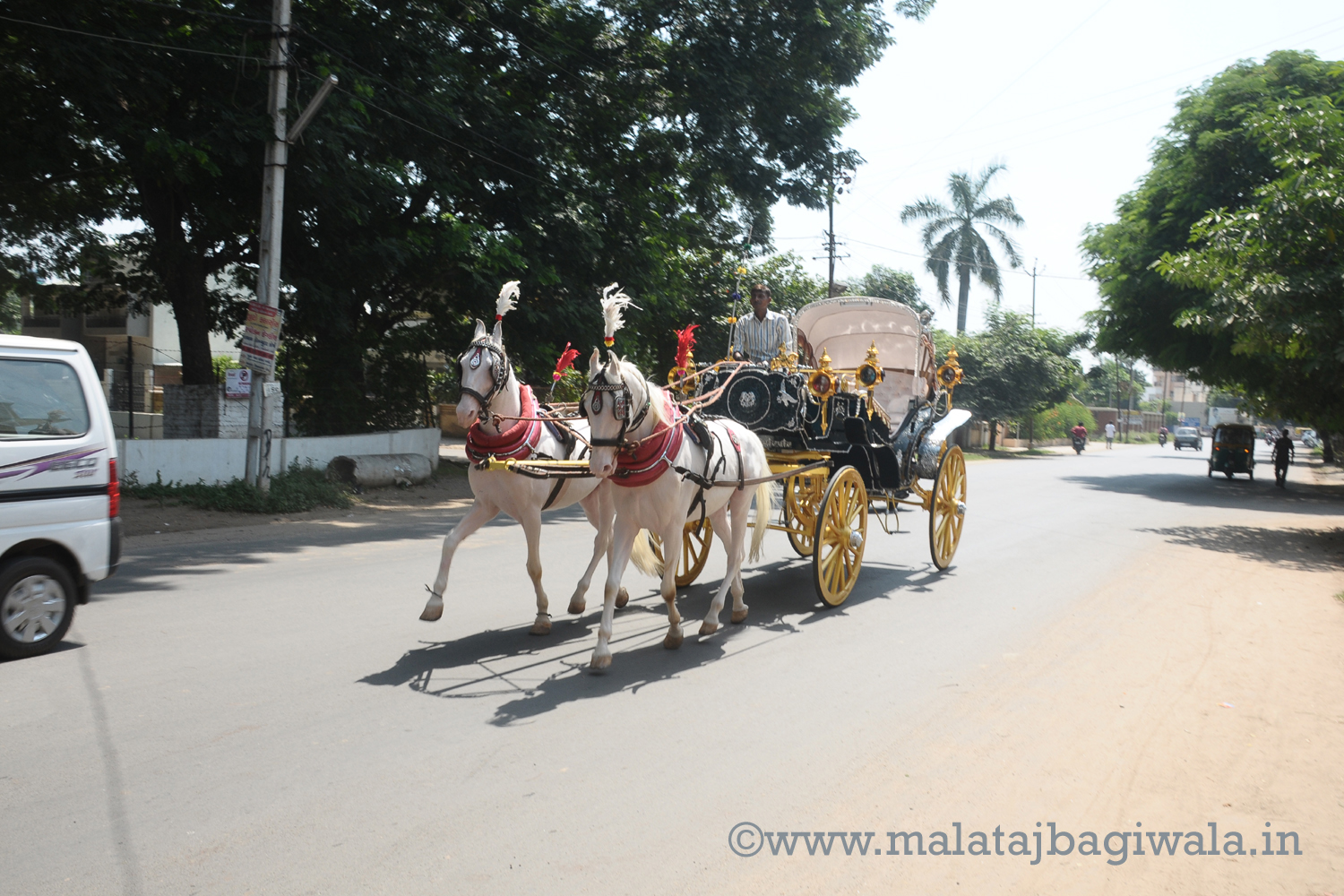 VINTAGE VICTORIA BAGI