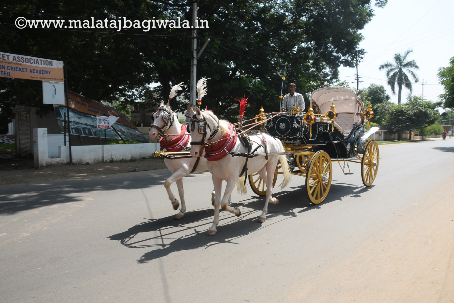 VINTAGE VICTORIA BAGI