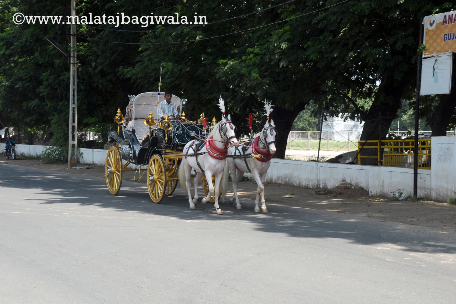 VINTAGE VICTORIA BAGI