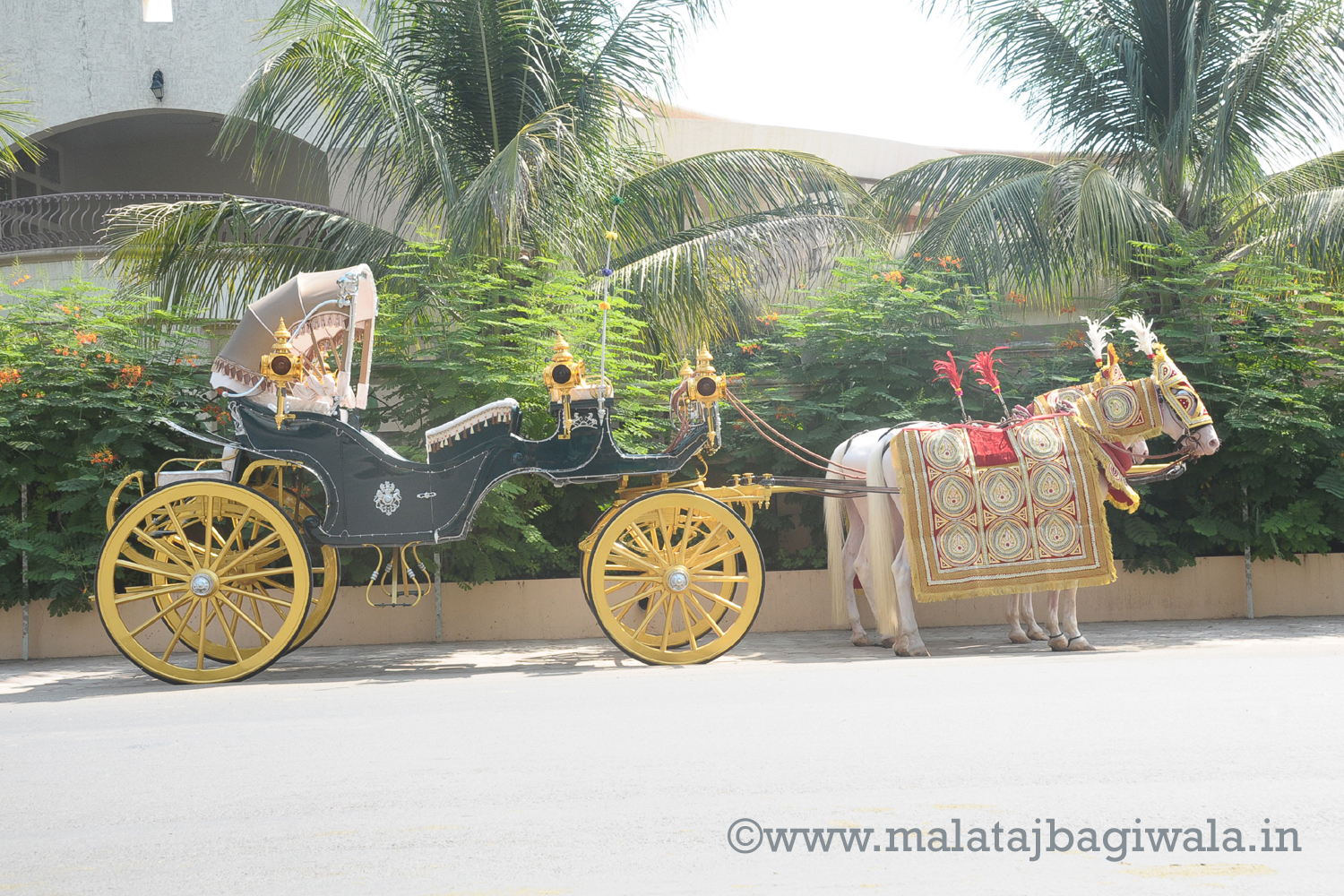 VINTAGE VICTORIA BAGI