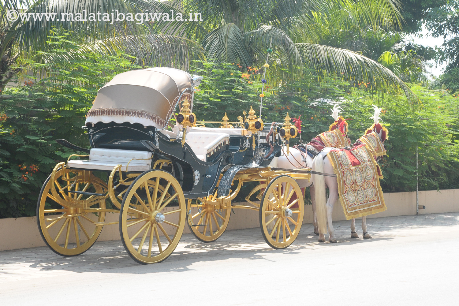 VINTAGE VICTORIA BAGI