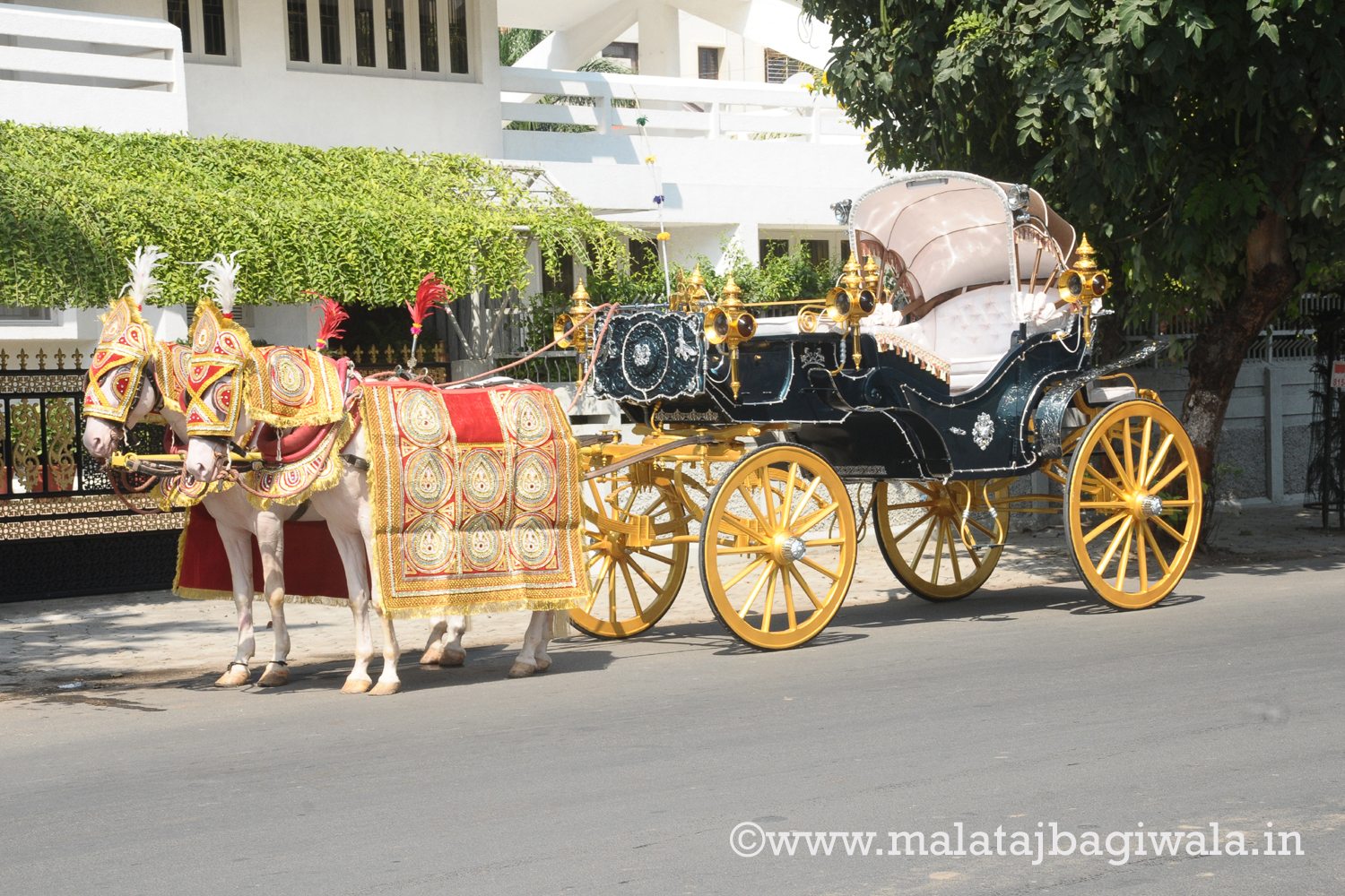 VINTAGE VICTORIA BAGI