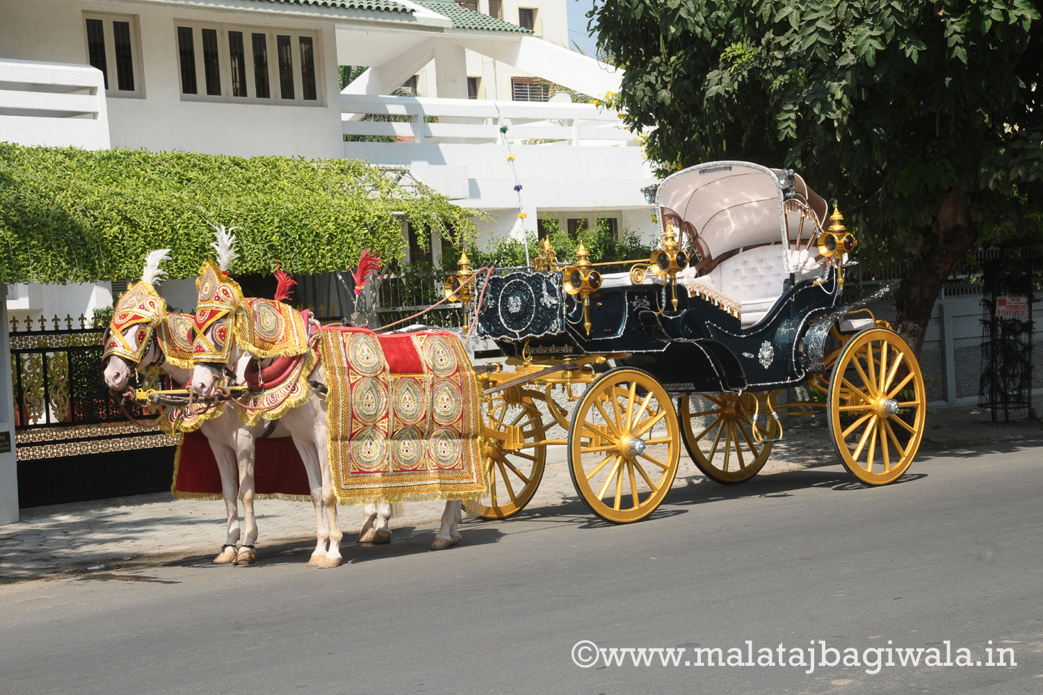 VINTAGE VICTORIA BAGI