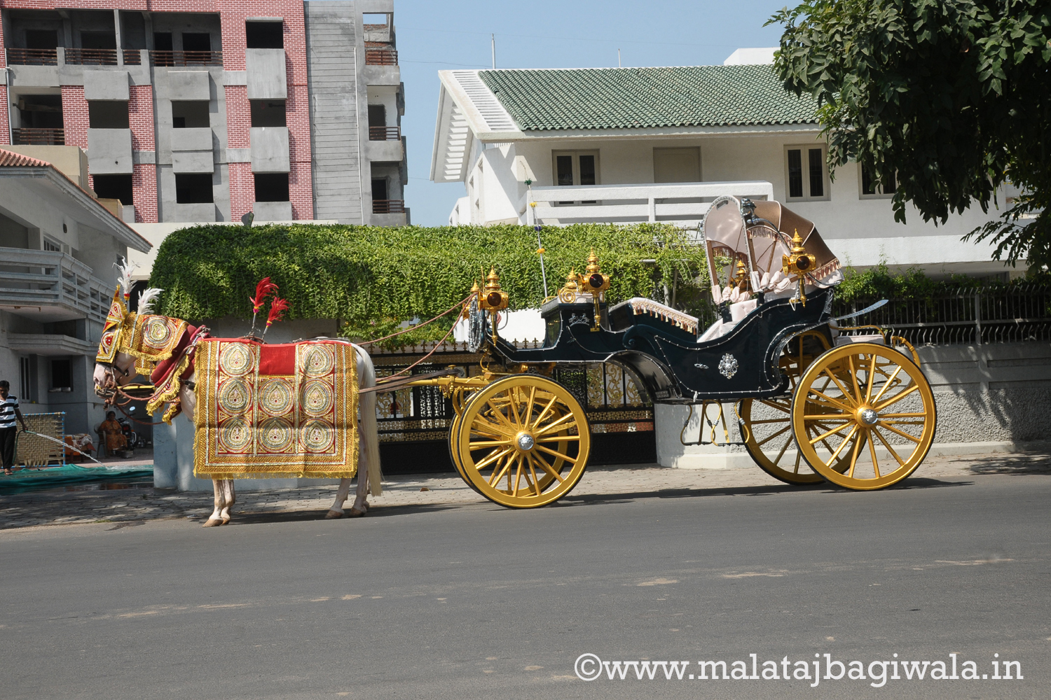 VINTAGE VICTORIA BAGI