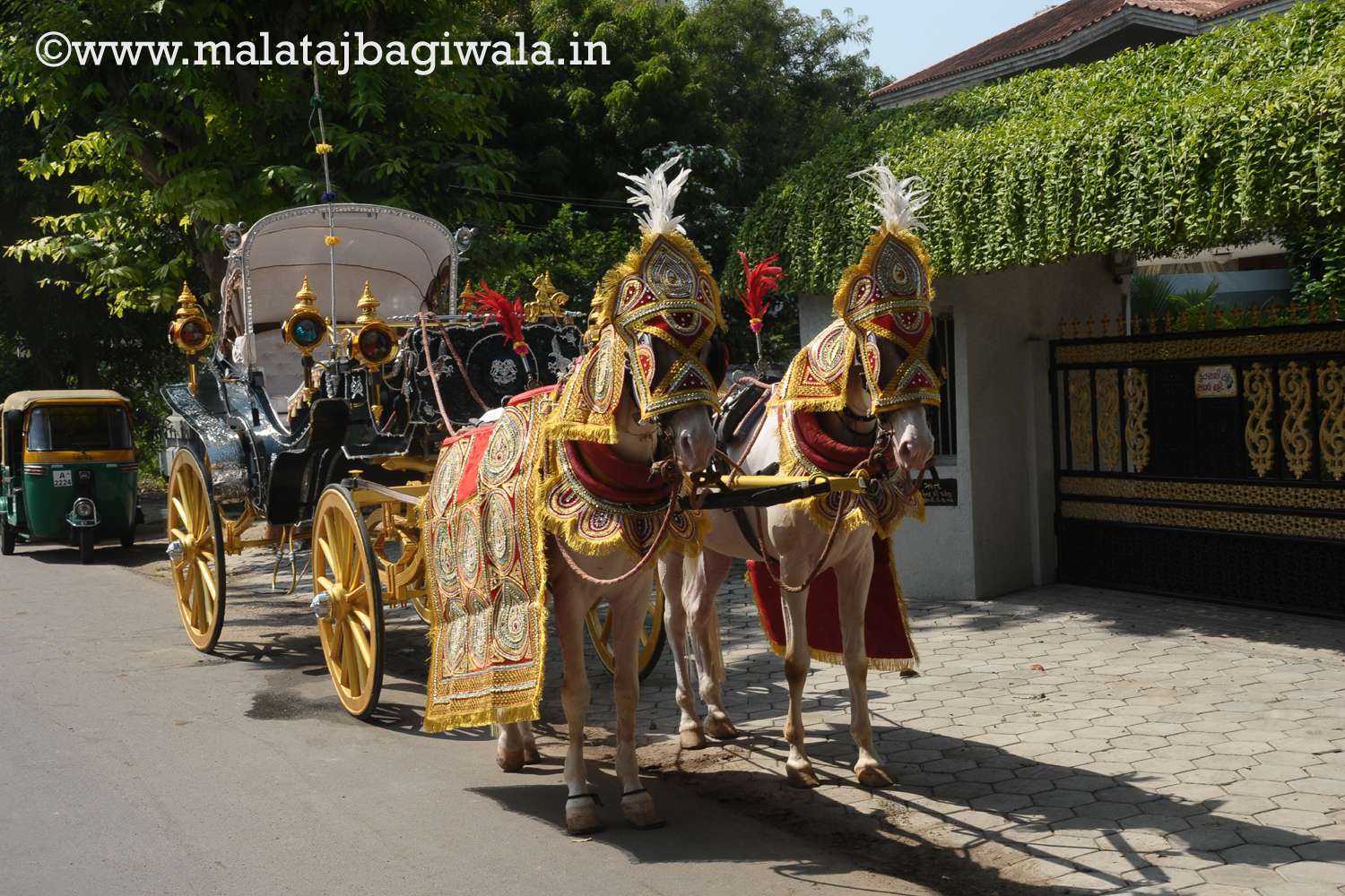 VINTAGE VICTORIA BAGI