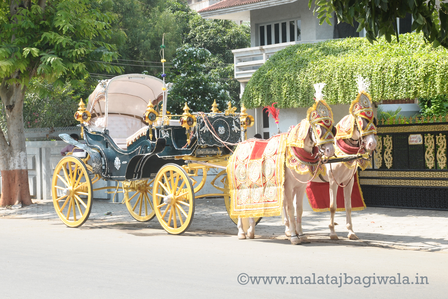 VINTAGE VICTORIA BAGI